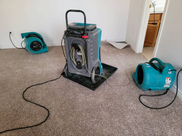 Best Ceiling water damage repair  in Pompton Plains, NJ