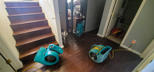 Best Water damage restoration experts  in Pompton Plains, NJ