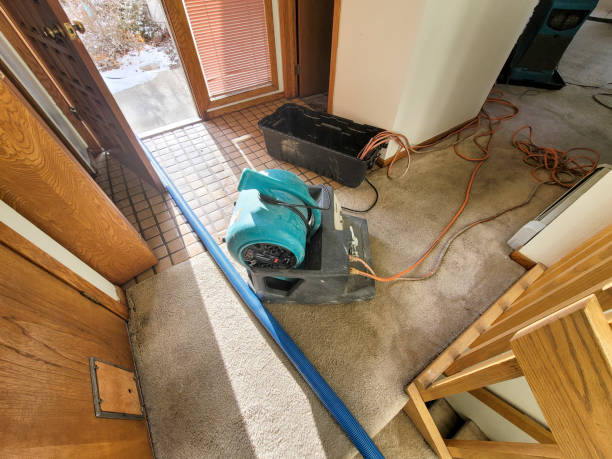 Best Carpet water damage restoration  in Pompton Plains, NJ