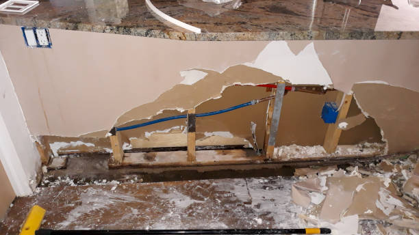 Best Professional water damage repair  in Pompton Plains, NJ