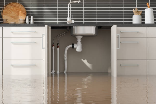 Best Mold removal after water damage  in Pompton Plains, NJ